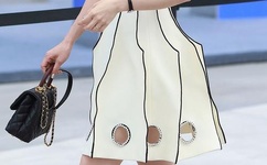 男人的大鸟真实图片